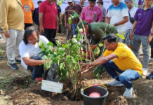 Hijaukan Perbukitan Dencarik, 2.000 Pohon Beragam Jenis Ditanam di Lahan 2,5 Hektare