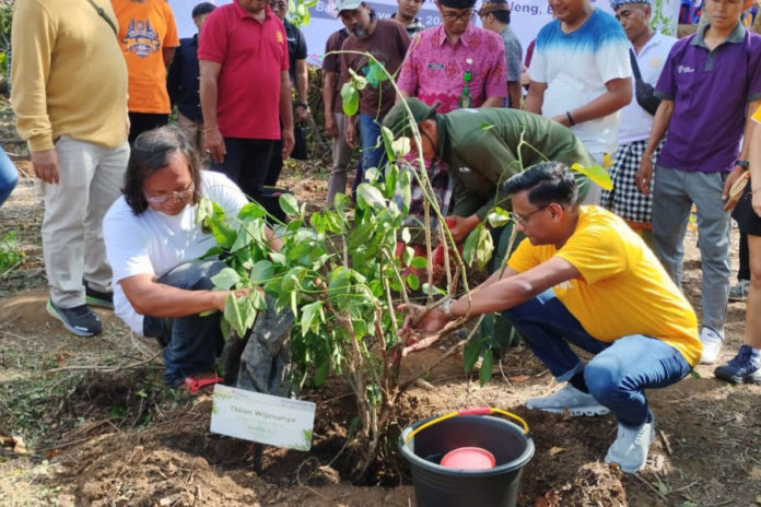 Hijaukan Perbukitan Dencarik, 2.000 Pohon Beragam Jenis Ditanam Di Lahan 2,5 Hektar 1