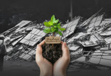 HUT ke-16 Mangupura, Pemkab Badung Imbau Ucapan Lewat Bibit Tanaman, Bukan Bunga Papan