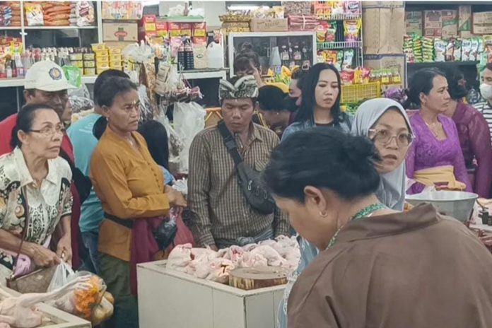 Jelang Galungan, Harga Daging Ayam Di Jembrana Merangkak 1