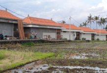 Libatkan World Bank, PDAM Badung Susun Rencana Bisnis Air Bersih Hingga 2045