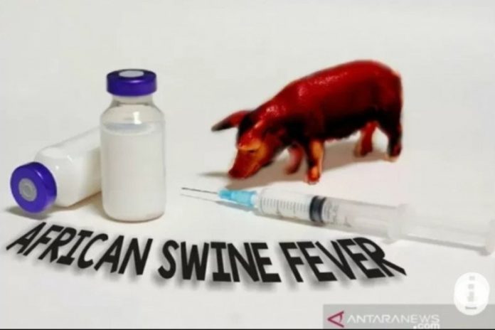 Lima Anak Meninggal Akibat Flu Babi 1