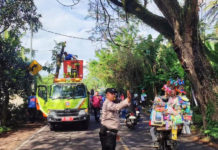 Memasuki Musim Hujan, Dewan Minta DLH Pangkas Ranting Pohon Perindang