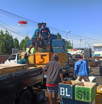 Ironis, Nelayan Kesulitan Peroleh BBM Subsidi Saat Harga Lemuru Melonjak