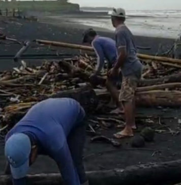 Pantai Yeh Gangga Dipenuhi Sampah Kiriman