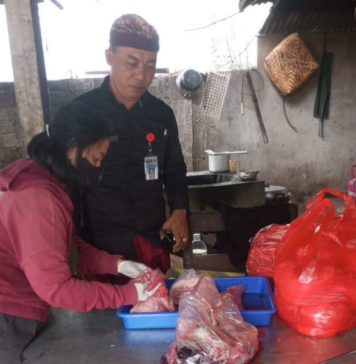 Pastikan Daging Aman Dikonsumsi, Tim Medikvet Terjun ke Pemotongan Babi