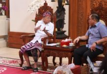 Pemerintah Pusat Buka Desk Khusus Tertibkan Investasi Asing di Bali