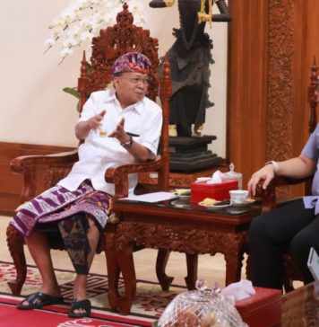 Pemerintah Pusat Buka Desk Khusus Tertibkan Investasi Asing di Bali