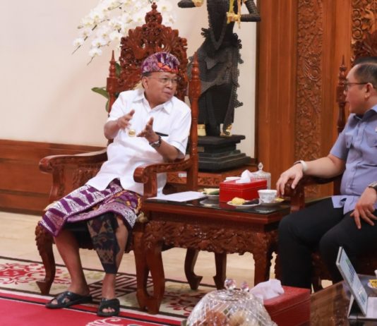 Pemerintah Pusat Buka Desk Khusus Tertibkan Investasi Asing di Bali