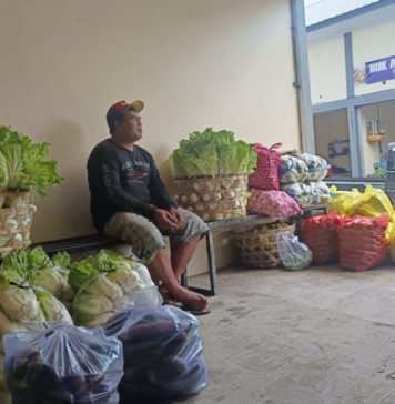 Program MBG Dongkrak Omzet Pedagang Sayur di Baturiti
