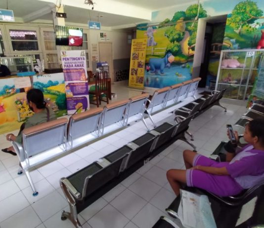 Jasa RS Sumbang Pendapatan Tertinggi PNBP BLU di Bali