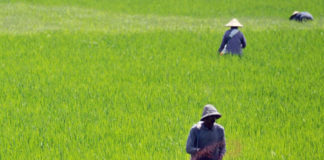 NTP Bali Naik, Ini Tiga Subsektor di Atas Level 100