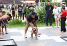 Vaksinasi dan Sterilisasi Hewan Warnai Singasana Dog Show di Lapangan Alit Saputra