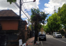 Wakil Ketua DPRD Gianyar Soroti Kesemrawutan Kabel Udara PLN dan Provider