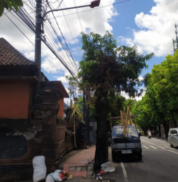 Jelang Galungan, Umat Diimbau Waspada Pasang Penjor Dekat Jaringan Listrik