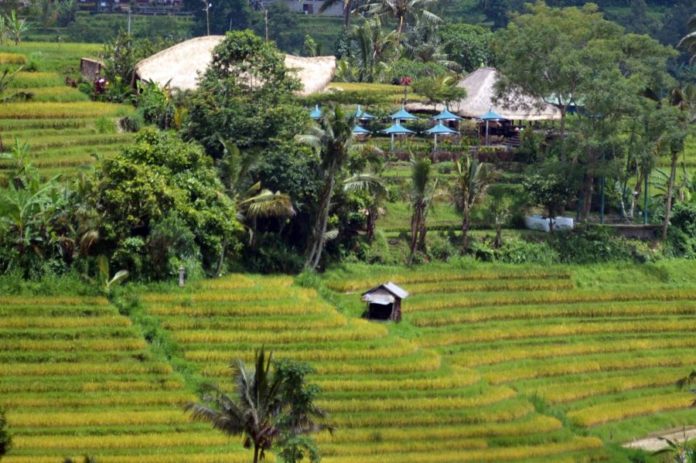 5 Berita Koran Bali Post Terbit Hari Ini, Rabu 3 Desember 2025 1