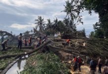 Akses Jalan Getakan–Gunung Rata Tertutup Pohon Tumbang, Lalin Terganggu