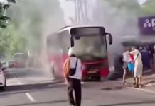Salah Satu Busnya Terbakar di Jalan Raya Kuta, Ini Kata Operator Trans Metro Dewata