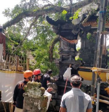 Dahan Beringin Tumbang di Pura Kresek, Timpa Atap Rumah