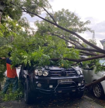 Hujan Lebat dan Angin Kencang Melanda, Dua Mobil Tertimpa Pohon di Puspem Badung