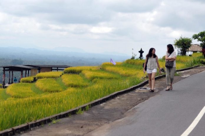 Dituding Tak Terbuka Soal Bagi Hasil Di DTW Jatiluwih, Pemkab Tabanan Paparkan Skema 'Pahpahan' 1