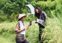 Indeks Bisnis UMKM BRI Q3-2025: Ekspansi Berlanjut, Optimisme Pelaku Usaha Semakin Meningkat