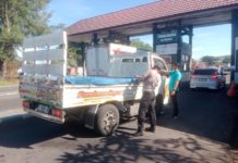 Jalur Penyeberangan Gilimanuk Rawan Penyelundupan Narkoba