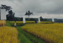 5 Berita Terpopuler: Dari Belasan Travel Agent Batalkan Kunjungan hingga Aksi Pasang Seng Berlanjut