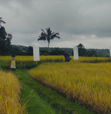 5 Berita Terpopuler: Dari Belasan Travel Agent Batalkan Kunjungan hingga Aksi Pasang Seng Berlanjut