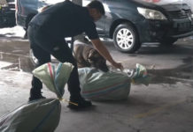 Jelang Tahun Baru, BNNP Bali Pantau Jasa Ekspedisi