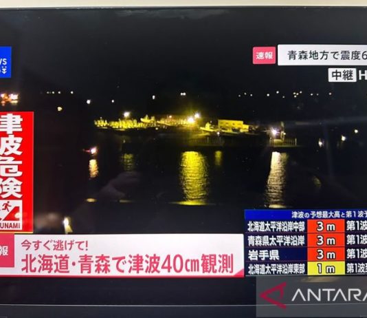 Jepang Waspadai Gempa Lebih Besar Pascaguncangan Bermagnitudo 7,5