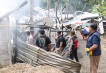 Kandang Berisi Belasan Ribu Ayam di Tembuku Terbakar, Kerugian Capai Rp1,5 M