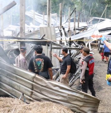 Kandang Berisi Belasan Ribu Ayam di Tembuku Terbakar, Kerugian Capai Rp1,5 M
