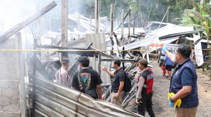 Kandang Berisi Belasan Ribu Ayam di Tembuku Terbakar, Kerugian Capai Rp1,5 M