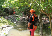 Lansia Hilang, Tim Gabungan Lakukan Pencarian di Hutan Bakau