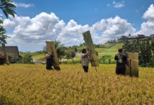 Mantan Manajer DTW Jatiluwih: Jika Pariwisata Dilarang, Tutup Semua Sekalian