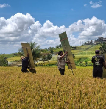 5 Berita Koran Bali Post Terbit Hari Ini, Selasa 9 Desember 2025