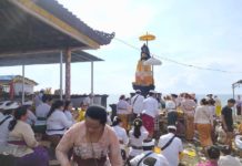 Mohon Perlindungan dari Bencana dan Penyakit, Nangluk Merana Digelar di Pantai Lebih