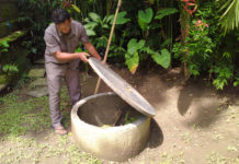 Optimalisasi Pengolahan Sampah di Sumber, Segini Jumlah Teba Modern Diperlukan Denpasar