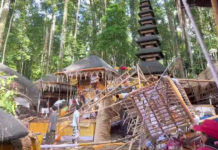 Pascabencana Pohon Tumbang, DTW Alas Pala Sangeh Ditutup Sementara