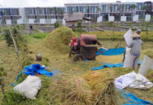 Penegakan Hukum dan Dukungan Masyarakat, Kunci Menjaga Alam Bali