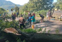 Pohon Timpa Pura Bukit Arca di Wanagiri, Lalin Jalur Singaraja–Denpasar Tersendat