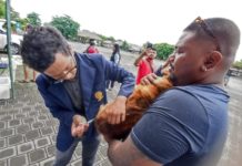 Progres Vaksinasi Rabies di Denpasar Capai 90 Persen