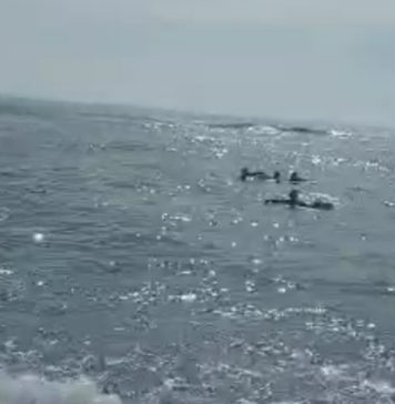 Terseret Arus di Pantai Cucukan Masceti Gianyar, Empat Remaja Berhasil Diselamatkan