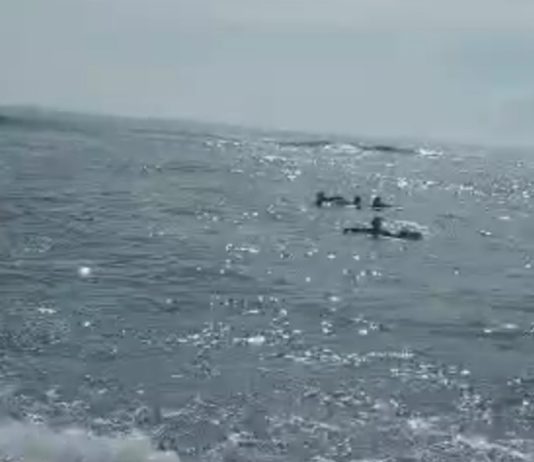 Terseret Arus di Pantai Cucukan Masceti Gianyar, Empat Remaja Berhasil Diselamatkan