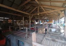 Tiga Pasar di Tabanan Diusulkan Direvitalisasi pada 2026