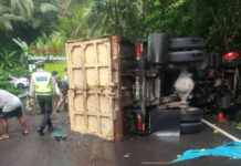 Truk Bermuatan Pasir Terguling Picu Kemacetan Panjang di Pesaban