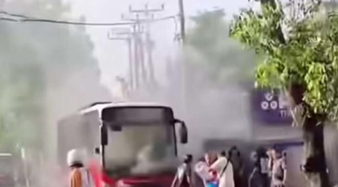 Viral Bus Trans Metro Dewata Terbakar di Jalan Raya Kuta, Keluarkan Suara Keras dari Kap Mesin