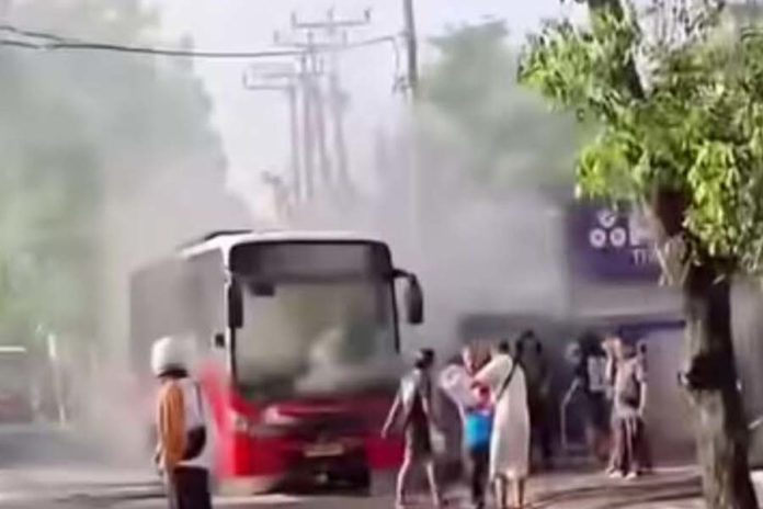 Viral Bus Trans Metro Dewata Terbakar Di Jalan Raya Kuta 1