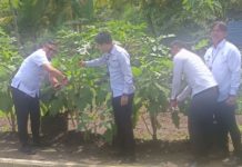 Warga Binaan Lapas Tabanan Kembangkan Pertanian dan Perikanan